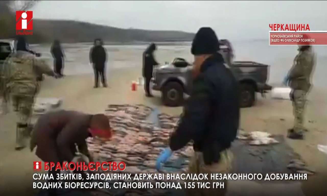 У Сулинському заказнику затримано браконьєрів, що наловили риби на 155 тис гривень (ВІДЕО)